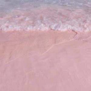 国产伦子伦一级A片免费看小说
